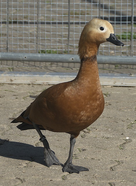 从他山之石