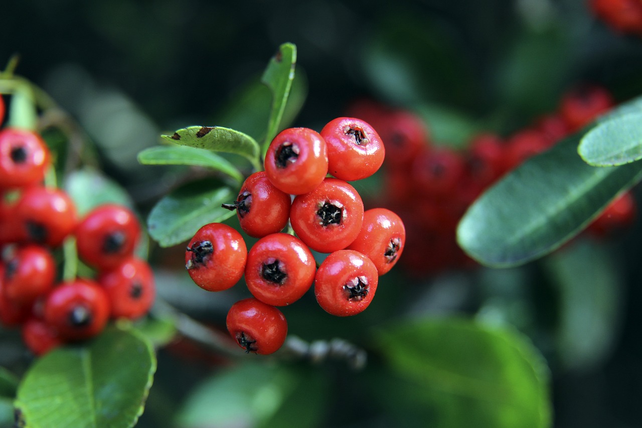 变得具备市 变得具备市