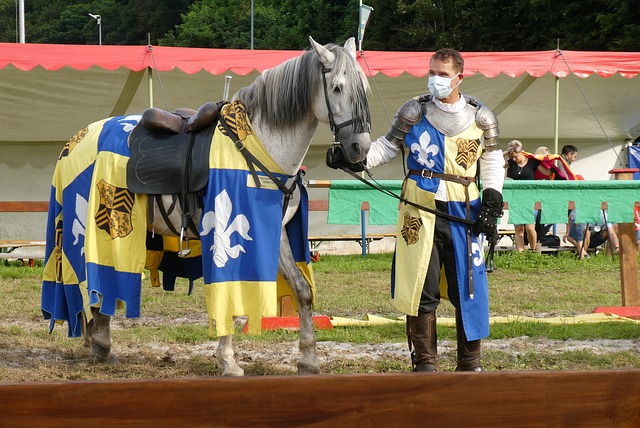 转守为攻的 转守为攻的